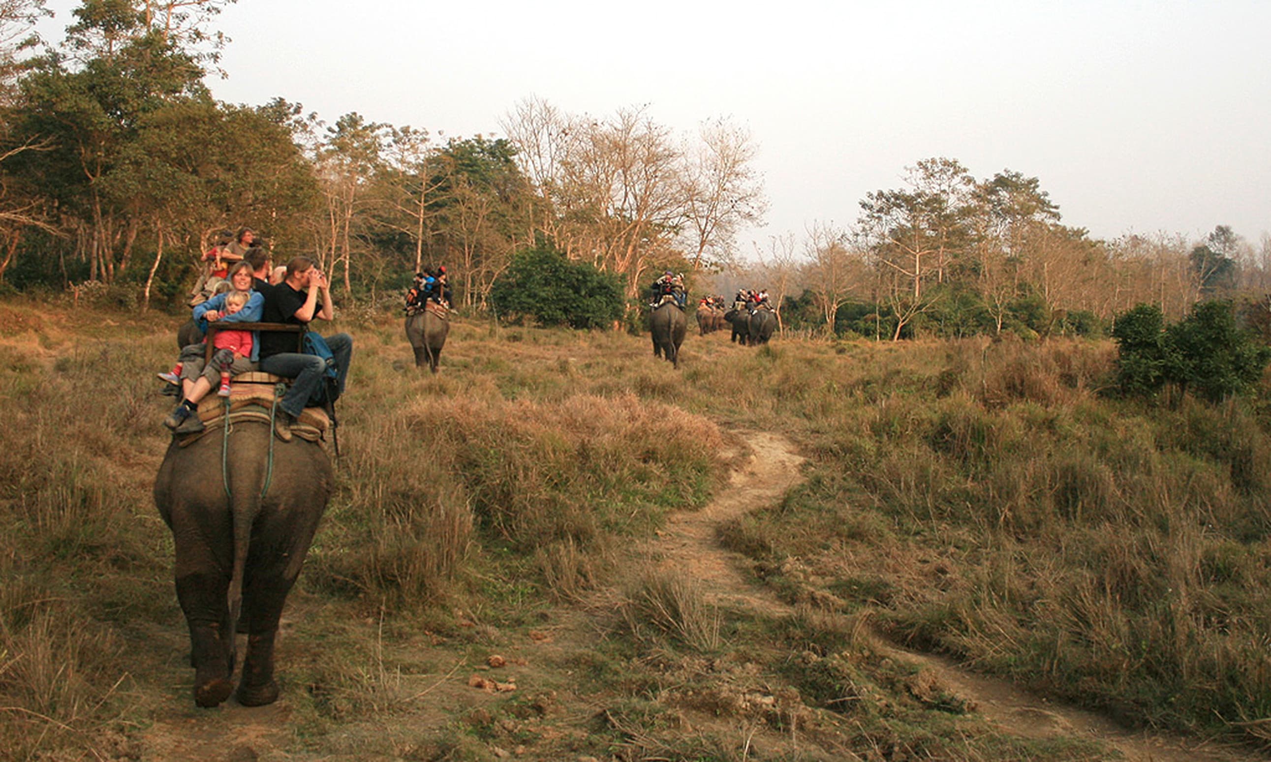 Chitwan National Park Tour