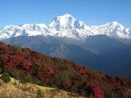 Ghorepani Poon Hill Trek