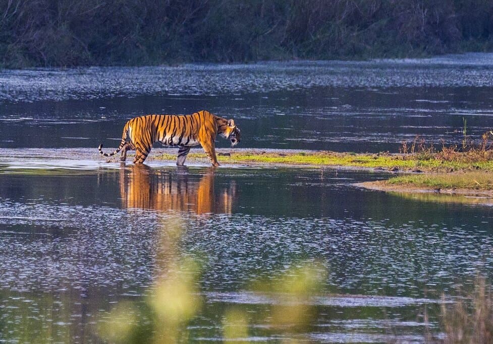 Bardia National Park