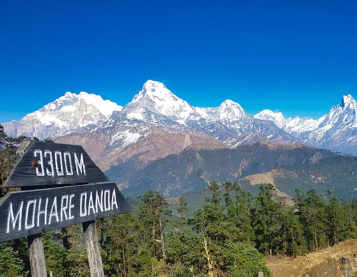 Mohare Danda Eco Trek — 5 Days 